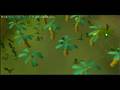 videos de When i was a noob - Contest