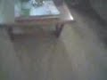010709 asher vlog (278.3G2)