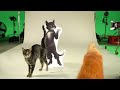 Puss In Boots Movie: Behind the Scenes Audition Tapes