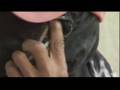 Abu Sayyaf fighters speak out - 17 Sep 07