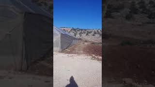 فلسطين طولكرم النزله الوسطى فلسطين طولكرم النزله الوسطى
