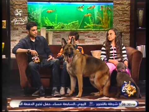 تربية ورعاية الكلاب .. دكتور محمد الصواف