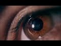 The Dream Of Life  -  Alan Watts