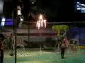 Salto delle tigri nel cerchio di fuoco.