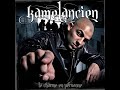 une zik tro triste de kamelanc'