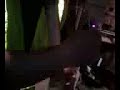 Click here to watch this video The Vest Man Chronic-les: Bong Hit of the Super Pumpkin Haze
