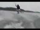 Flying Seagull
