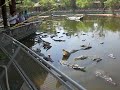 Melissa fish the Aligator at Suoi Tien
