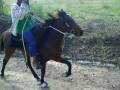 Ceasar Single footing
