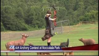 4-H Archery Invitational Tournament