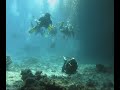 why we dive why we dive
