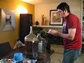 Dry-Hopping the Dogfish Head IPA