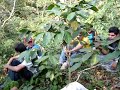 bajando el volcan de