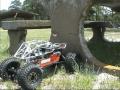 Novak Crawler Testing
