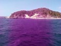 Visita Isla de Plata