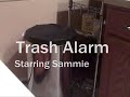 Trash Alarm Starring Sammie Trash Alarm Starring Sammie