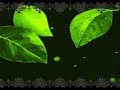 scar in the earth - ??Master scar in the earth - ??Master