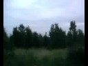 They have planted Trees!