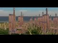 TOTAL WAR ROME Brutii Final intro