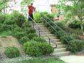 skaters-jack-and-jeff-chen.html