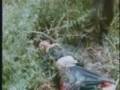 Vietnam Footage - War Vietnam Footage - War