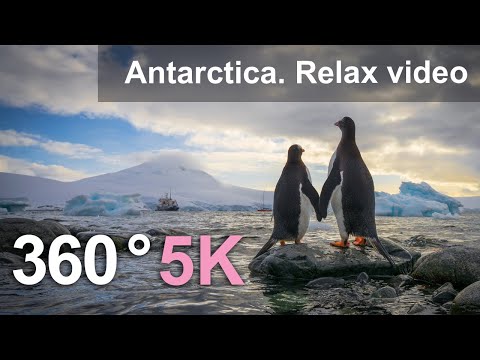 Antarctica. Frozen world. Scenic Relaxation 360° Film in 5K - YouTube