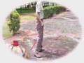 The Amazing Dog Poop Ass-Bag