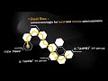 ATEN KN9116 KVM Over the NET-Product Intro Movie - free flv video @ vwatch.tv
