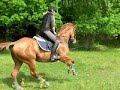 Terr�ngtr�ning 31/5 �gesta RK