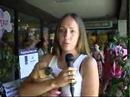 The Story of a Pugle Puppy from a Pet Store