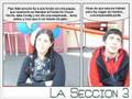 Para Nevenka