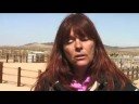 Wild Horse Boot  Camp