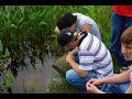 Manoomin: Michigan teens, American Indians restore wild rice