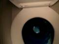 In-flight Toilet Flush at 32,000 Feet Above Four Corners