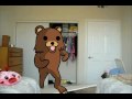 Closet Door Fail PEDOBEAR VERSION