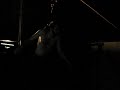 suspension - the donner party