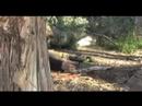 Project: 713 Gunfight