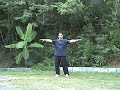 Free lesson: 1. beginning tai chi- wu tai chi