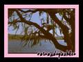 videos de My Immortal {Vada/Thomas J. from My Girl}