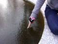 videos de Frigid Weather