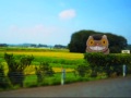 Joe Hisaishi – cat bus