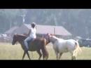 Tipper the new horse gets ponied by Spirit.