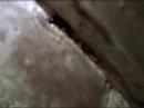 Termite Damaged Band Sill
