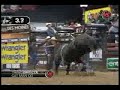 travis briscoe vs cat man do travis briscoe vs cat man do