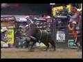 travis briscoe vs cat man do