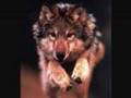 Jacob Black: Apologize