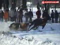 Ski joering Zakopane kumoterki by our camera