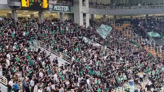 "Τριφυλλάρα μου τρελαίνομαι" στο ΟΑΚΑ #panathinaikos #paobc #euroleague