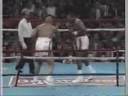 HW Champions: Evander Holyfield HW Champions: Evander Holyfield