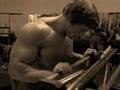 Arnold-Schwarzenegge